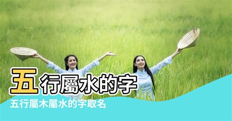 八字屬水|五行屬水的個性